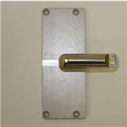 Pin Style Hasp Lock
